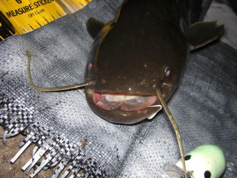 JPFPcrpzzoERFRhpXJdd_320_320-555bf618.jpg