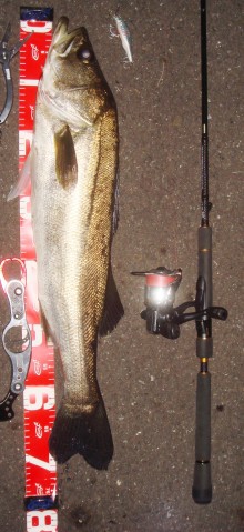 JgfWF8wEsXMExoMocSFC_480_480-f6d65622.jpg