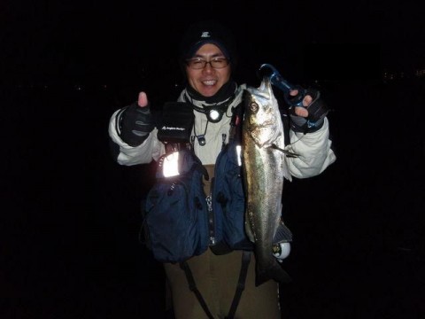 Jwwx49fMo5N2RdpgpLXx_480_480-70e0eb48.jpg