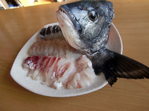 KFWj8M6WQHX4XsHGGZ2A_480_480-ea8ca91e.jpg