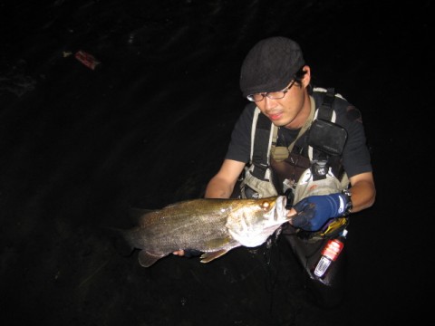 KgM94OYHhnPEZFfhGCvx_480_480-171312be.jpg
