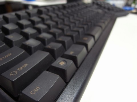 MtL22DfgHxNAxVSoGG82_480_480-74e85408.jpg
