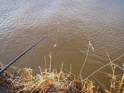 MxdGC8dQCxR74ErmyXr3-bb3b16b9.jpg