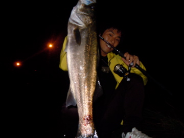 N25CizGg5jj49XT4NAao-0f5ee10b.jpg
