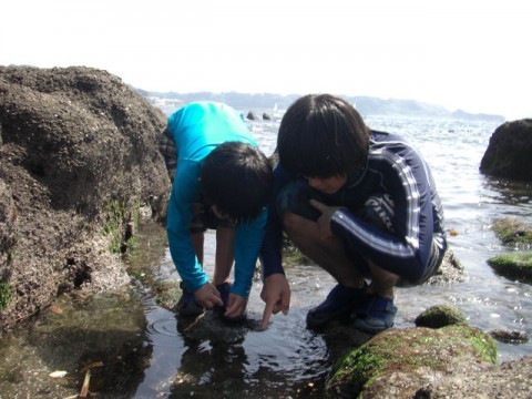 OQjAEOFAi3FxsJQmQhOa_480_480-025cc55d.jpg