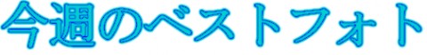 Pe3ayGMHZu9DzrxwxBbd_480_480-35d749f0.jpg