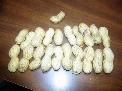 Pj4ag7mjVQteyOOCKdRw-4ccaea77.jpg