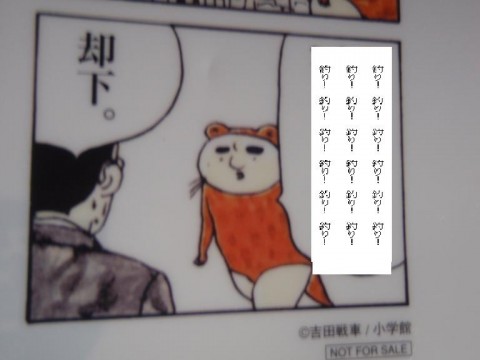 QFo9G5j7pTfGysJVfUPB_480_480-0f96e22c.jpg