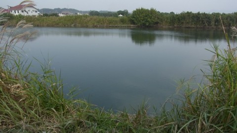 QdP6yKLS3xdvNJ7VOiuw_480_480-576d819b.jpg