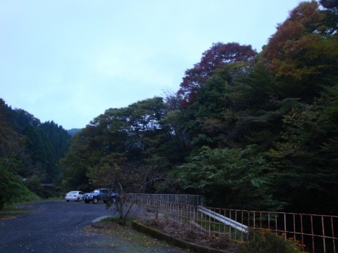 QsiLKOi3XtjWQPXcRnwu_480_480-8c442cdc.jpg