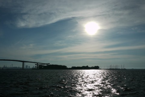 Rek9Oi2mtnozJWvmyxsw_480_480-b20945e6.jpg