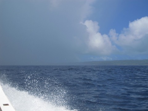 RxvTtD7kvtR5B39rEH9H_480_480-5f5dacee.jpg