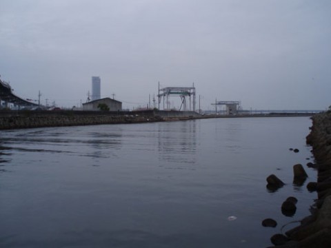 TBDFuwZF2hhP2sT5tuOg_480_480-c2c960e5.jpg