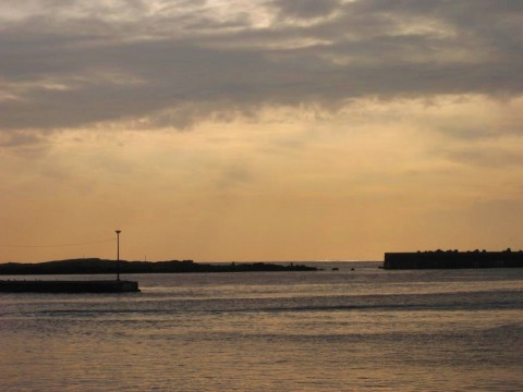 W4fYS5LjJkEdZPpGHEyg_480_480-1f1abbc7.jpg