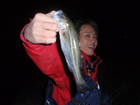 XntNmOc69bUHp8jksTE7_480_480-c73ef12c.jpg