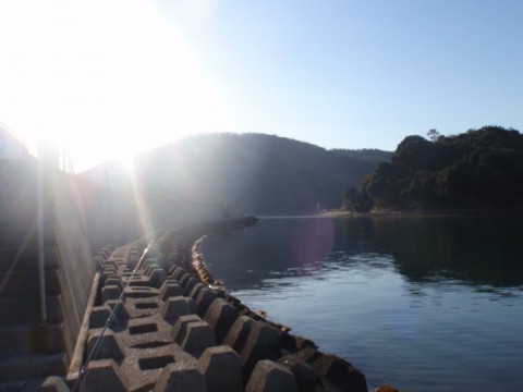 XsuU8h5hRGDnfhvECyQr_480_480-58ef1fee.jpg