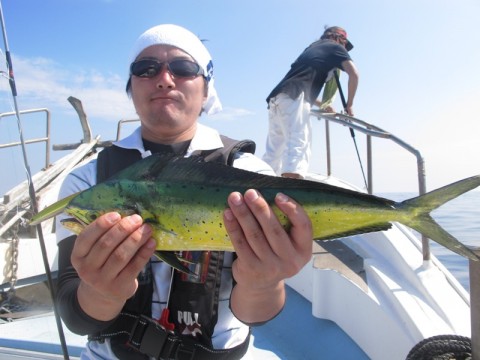 YBjTkUG8pT6onTbahQAp_480_480-151e9cce.jpg