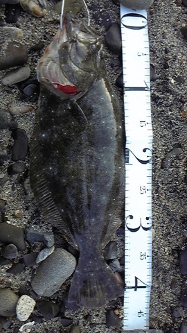 YsGhjBm5YeMDvUAxovAK_480_480-438b68e2.jpg