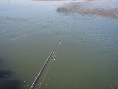 Ysd7HyCr5zxT2f6ZGCgp_480_480-8576aa29.jpg