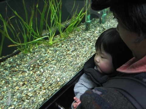 YxJhuwjwonvhTkQo2nPB_480_480-7453409f.jpg