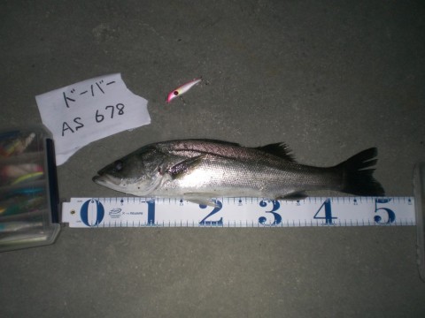 a2bf9erp3cfaw2z9nzae_480_480-f5cea058.jpg