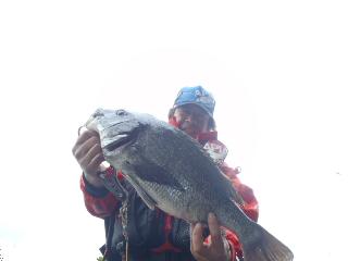 a2kzkncr96cb6iumf6wt-54b31ef0.jpg