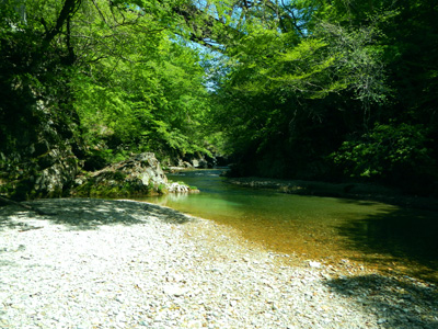 a2onfz8mgdn2o3v7atmr-45d600e0.jpg