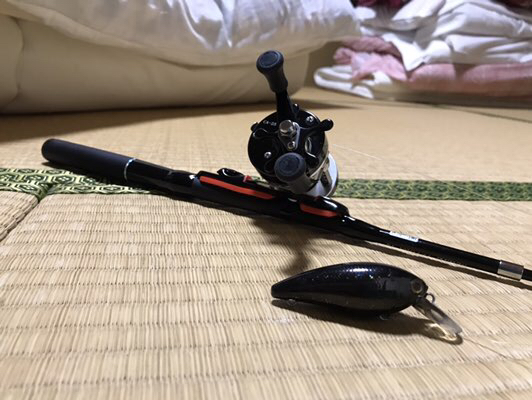 釣りに行けないアングラー代表 世界最小キャスト用ベイトリール