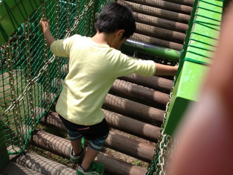 a3a9kpuswxiymt4f7ifr_480_480-a5db240f.jpg