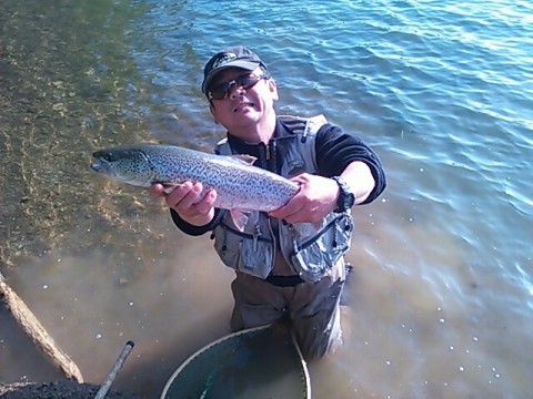 a3emkagu8kn3at5xi4wd_640_480-7dba119c.jpg