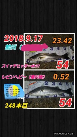 a3fzx9bxpkj4yg7byjvs_480_480-e666d63a.jpg