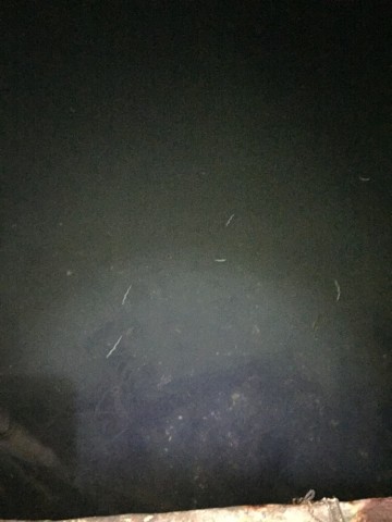 a3h2gzpdjz6wdtcrxgm3_690_920-71726227.jpg