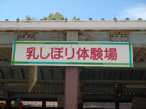 a3koiyhk7rm2jv9b2k8x_480_480-f9e2e54a.jpg