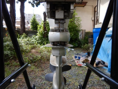 a3oxmtuf72kdrrpj6tvw_480_480-4810141e.jpg