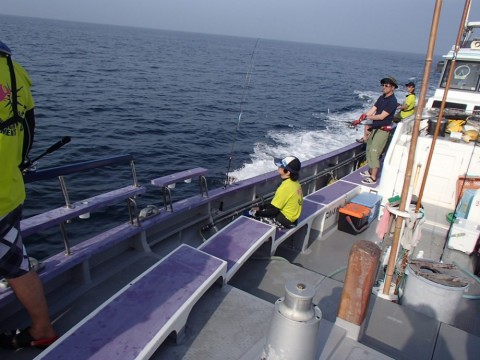 a4359oh4x6ng3rsv5jfr_480_480-dc6dcd36.jpg