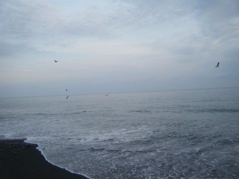 a44sw887k84idm56pose_480_480-2efe3938.jpg