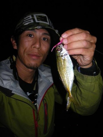 a4bt9hkj33s68cwnrggs_480_480-2f698436.jpg