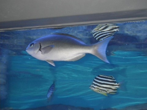 a4jpdfajktzv8xunpxhd_480_480-49013140.jpg