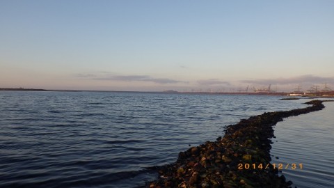 a4scnnemc5ks6ydw4zzf_480_480-3c975eb0.jpg