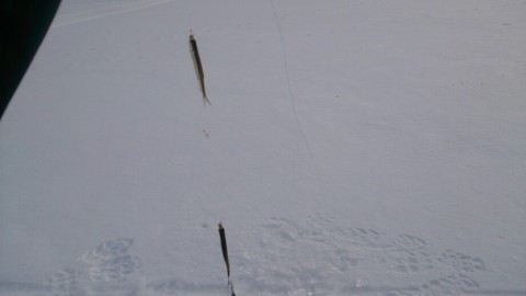 a4sh6xopbry9a8skvguw_920_517-5815783c.jpg