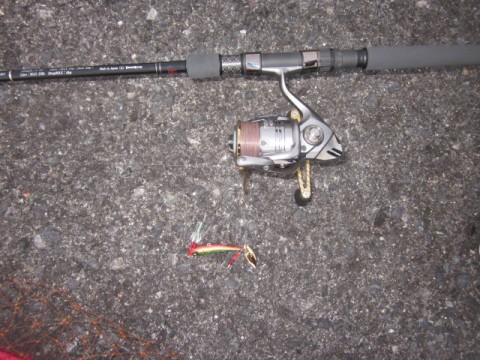 a4t3jgsu3azmsiu5pgwb_480_480-07b2a756.jpg