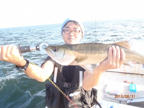 a4t8nc253v3cv7gppayf_480_480-67456612.jpg