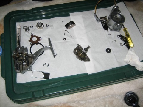 a4utupp7fmk2y2t3b7xr_480_480-28fa5099.jpg