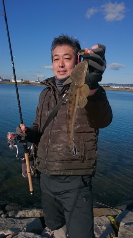 a4v95v8yex936az873m5_480_480-54dd0123.jpg