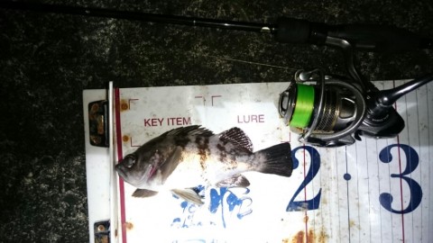 a52gc8kx69kfxyw7gx4m_920_518-aa9b8e96.jpg