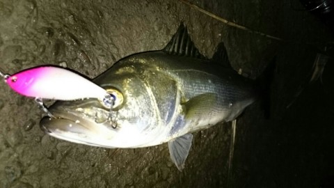a57obx5c9vu4xcazzu4v_920_518-765b12af.jpg