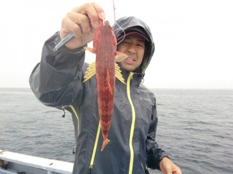 a5ghyz8n4w238hu8zxvx_640_480-c0201c2d.jpg