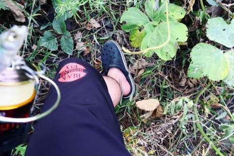 a5k8sbo8mhs3di2b98o6_480_320-8c97f7d2.jpg