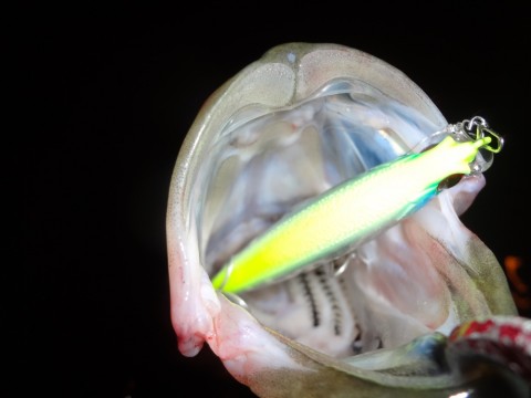 a5m8iconkv9zzjypk7mf_920_690-0a970f32.jpg
