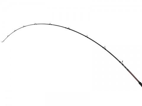 a5ufv9x5dh7fy9mj87h3_480_480-19c7e669.jpg
